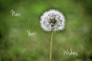 New Year Wishes