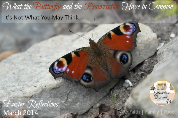 What the Butterfly and the Resurrection Have in Common